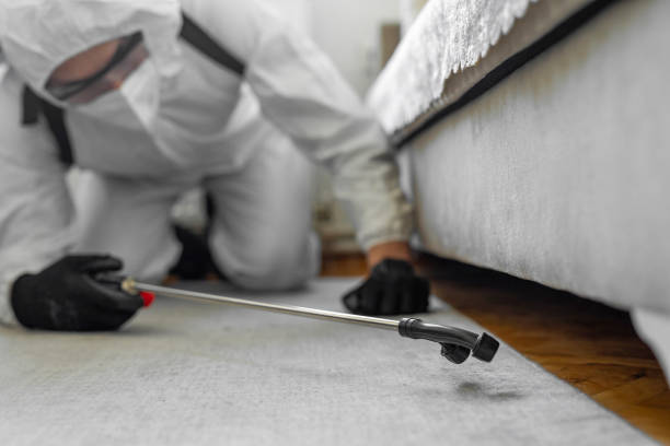 Professional Termite Control technician working in Saunders Lake, OR