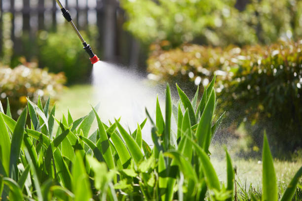 24/7 Emergency Termite Control experts in Saunders Lake, OR