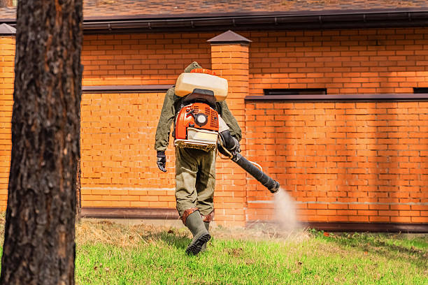 Trusted Bed Bug Control service in Saunders Lake, OR - Nex Pest Control